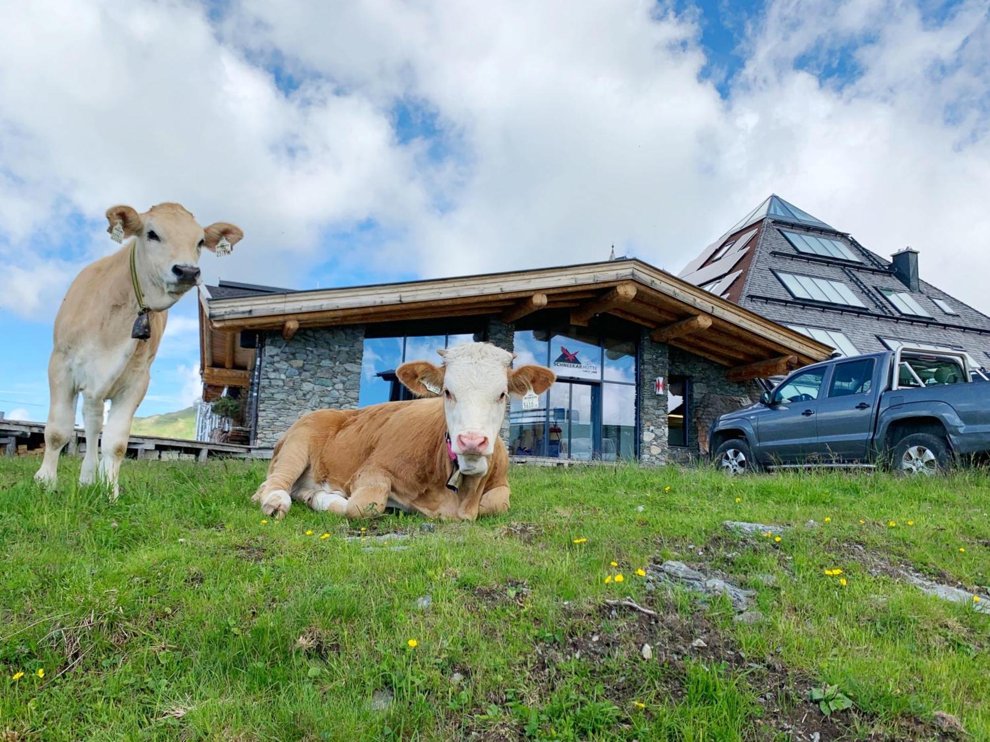 Hotel Schneekarhütte Mayrhofen Exterior foto